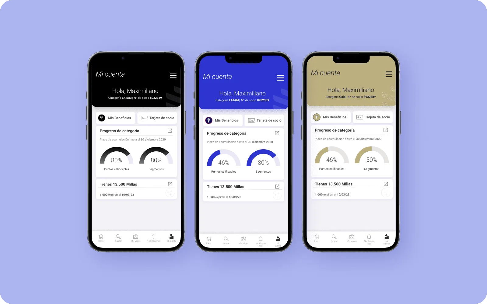 Profile section design for high-value airline customers